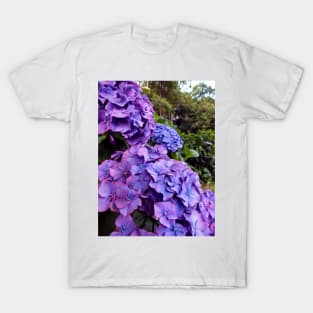 Purple Hydrangea T-Shirt